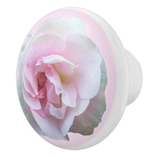 Ljusare rosa Ro på Rosa Knopp