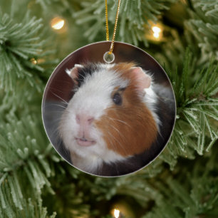 Ljusare, Utjämnad, Tricolor Guinea Ansikte Gris Julgransprydnad Keramik