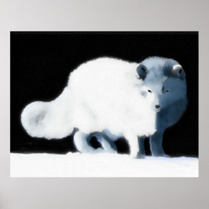 Ljusarktiskt räv poster