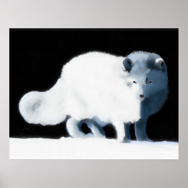 Ljusarktiskt räv poster (Framsidan)