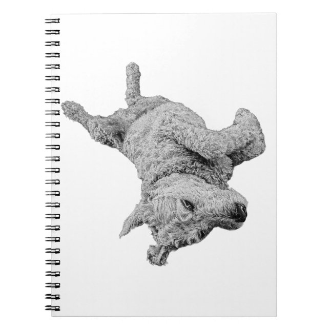 Ljusartigt Linjer Anteckningsbok (Framsidan)