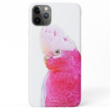 Ljusbågsfågelkonst