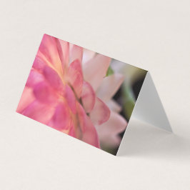 Ljusbågskort för Rosa Kort