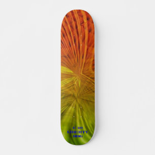 LJUSBEAMS NEON PRO SKATEBOARD ROLIGT KIDS