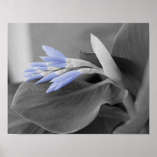 Ljusblå blombuffert Färg Stänk-foto Poster