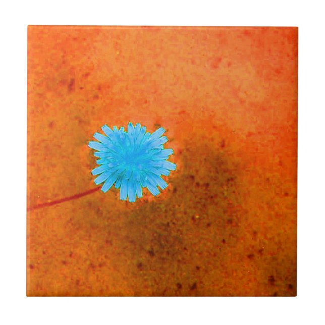 Ljusblå blomma kakelplatta (Framsidan)