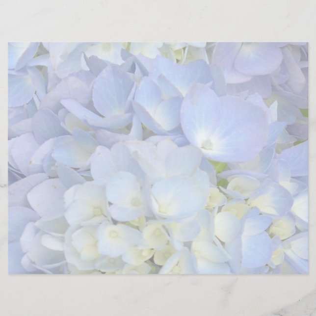 Ljusblå Hydrangea Bröllopsprogram Tomt Papper (Framsida)