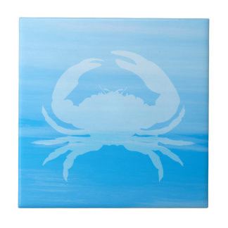 Ljusblått havsområde vatten med krabba kakelplatta