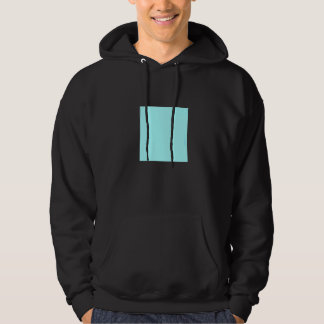 Ljusblåturkos Solid Färg Simple Färg Plai Hoodie