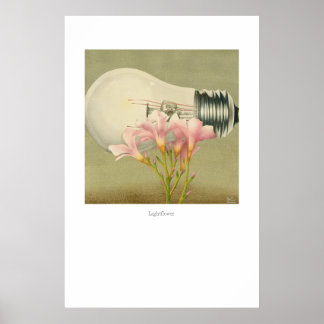Ljusblomma Poster