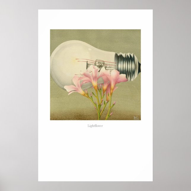 Ljusblomma Poster (Framsidan)