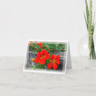 Ljusblommor i orangen kort