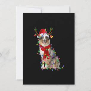 Ljuset Australian shepherd Hund Träd Inbjudningar
