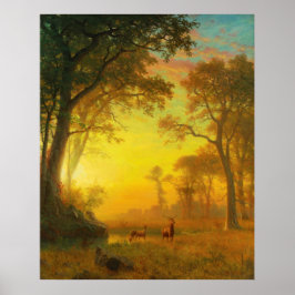 Ljuset i skogen poster