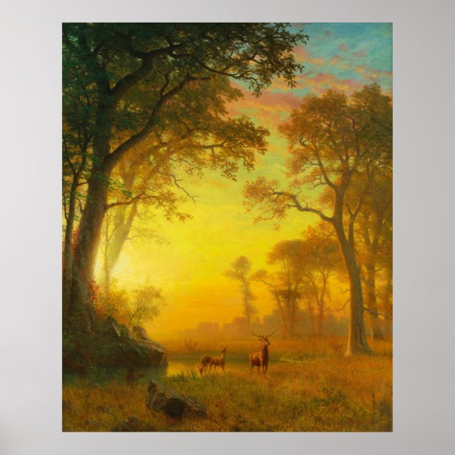 Ljuset i skogen poster (Framsidan)