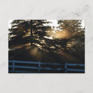 Ljuset i Träd Christian Sympathy Card Kort