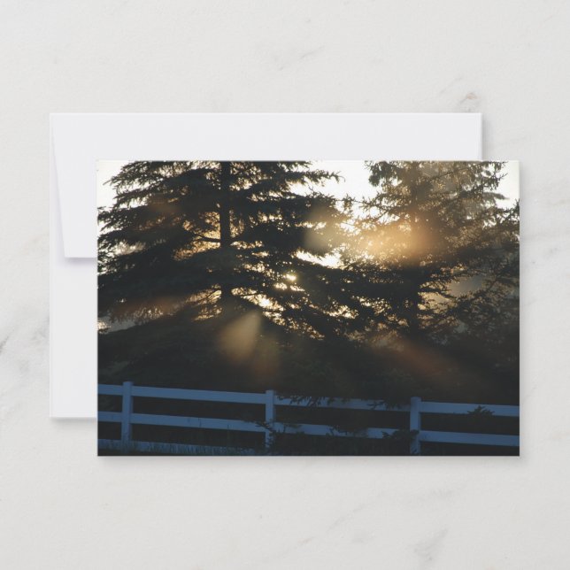 Ljuset i Träd Christian Sympathy Card Kort (Framsida)