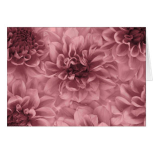 Ljuset Mauve Dahlias-kluster Hälsningskort