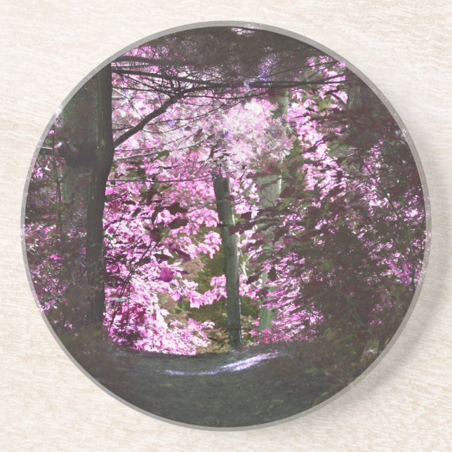 Ljuset på Väg Underlägg (Framsidan)