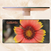 Ljusfärgad gaillardia-blomma Fotografi