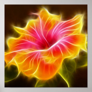 Ljusfärgad Hibiscus Flower Poster
