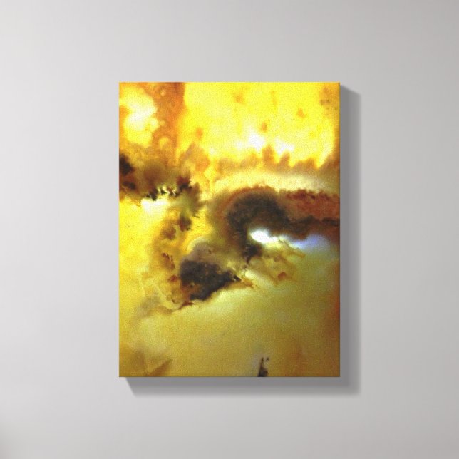 Ljusfärgad Mossagat Fotodesign Canvastryck (Framsida)