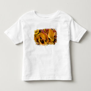 Ljusfärgade kallaliljor vid t-shirt