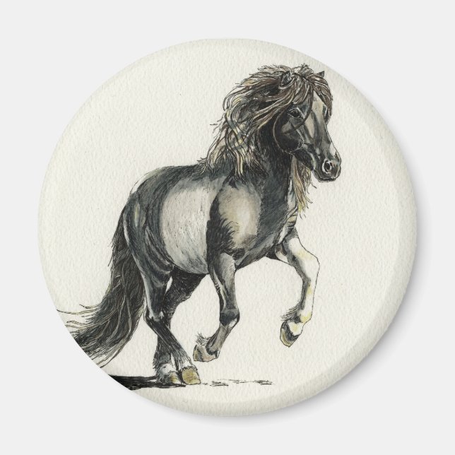 Ljusfrågad isländsk magnet (Framsidan)