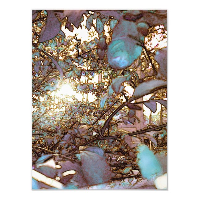 Ljusgenombrott Fototryck (Framsidan)