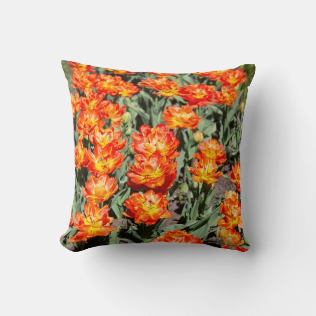 Ljusgingertulpaner med röd orange kudde (Framsida)