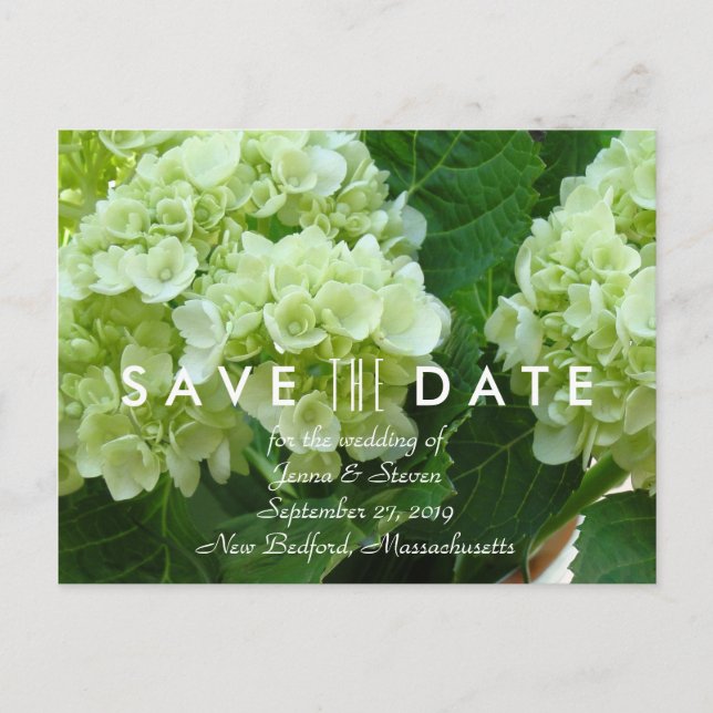 Ljusgrön Hortensia Save the Date-Brevkort Meddelande Vykort (Framsida)