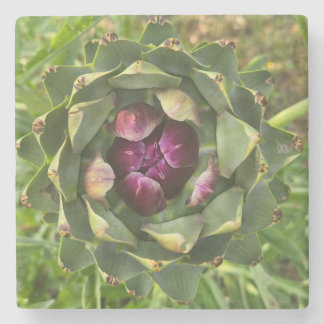Ljusgrön och lila Tuscansk Artichocke Stenunderlägg