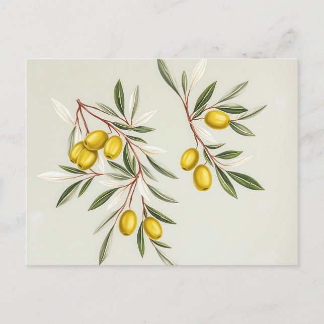Ljusgrön olivkvistillustration Elegant  Vykort (Framsida)