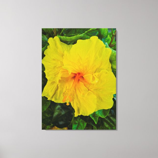 Ljusgul Hibiskusblomma Canvastryck (Framsida)