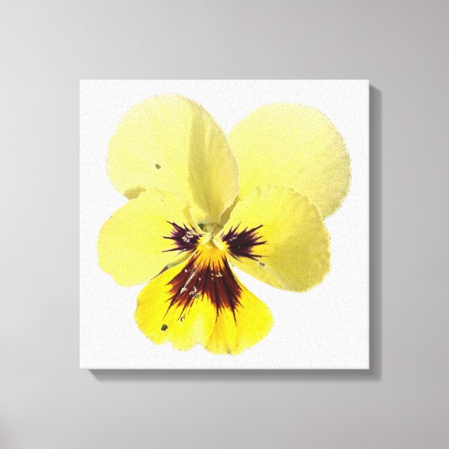 Ljusgul penséblomma Fotoduk Väggkonst Canvastryck (Framsida)