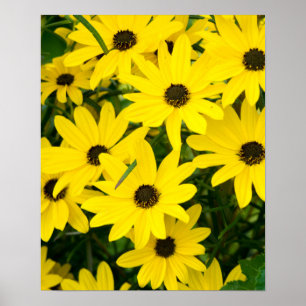 Ljusgula blommor poster