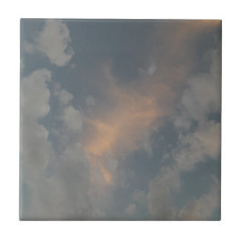 Ljuskeramiskt plattor kakelplatta