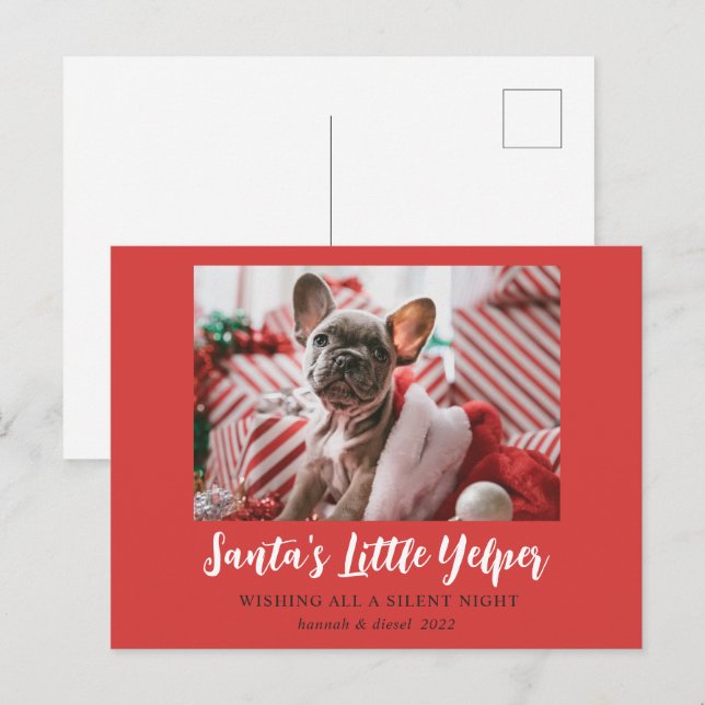 Ljuskjulet Cute Pet Photo Red White Helg Vykort (Fram/baksida)