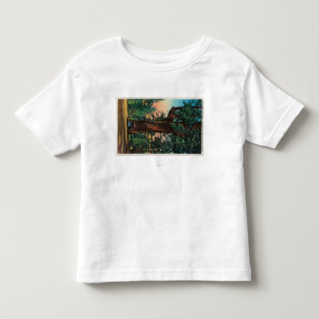 Ljuskronaträd, Underwood parkerar Tee Shirt (Framsida)