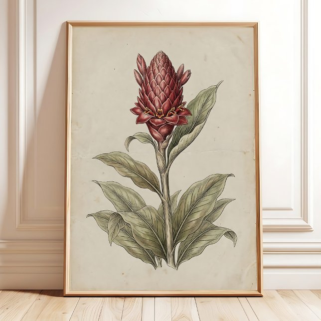 Ljuslevande fackelgingerblomma konst poster (Skapare uppladdad)
