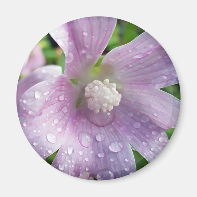 Ljuslila Magnet (Framsidan)