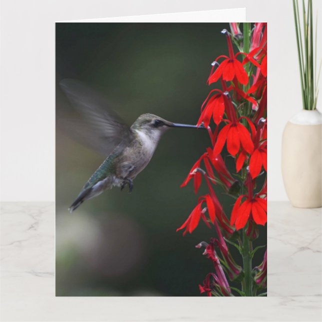 Ljusna någon dagen med detta älskvärda kort!! kort (Framsida)