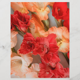 Ljusnande Gladiolus-blommor Scrapbookpapper