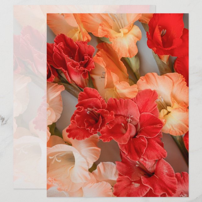 Ljusnande Gladiolus-blommor Scrapbookpapper (Fram/baksida)