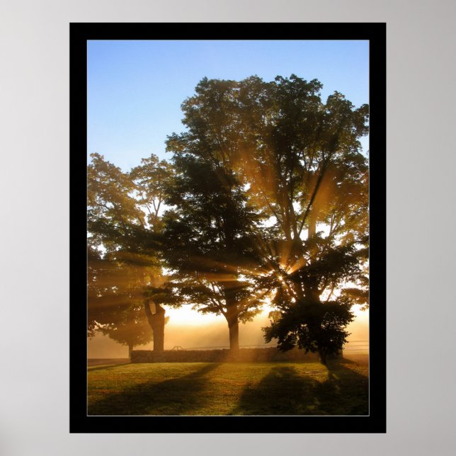 Ljusraster 4 poster (Framsidan)