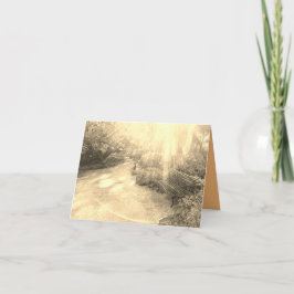 Ljusraster och Bench Card Kort