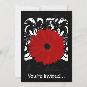 Ljusröd Gerbera-Daisy på svart Inbjudningar