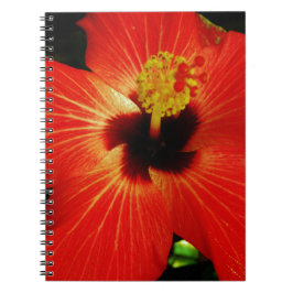 Ljusröd Orange Hibiscus Flower Anteckningsbok