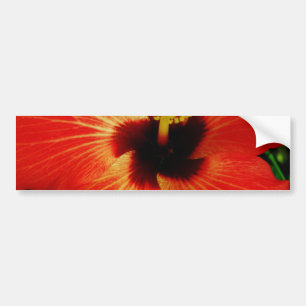 Ljusröd Orange Hibiscus Flower Bildekal