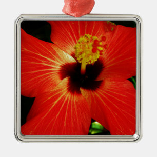 Ljusröd Orange Hibiscus Flower Julgransprydnad Metall
